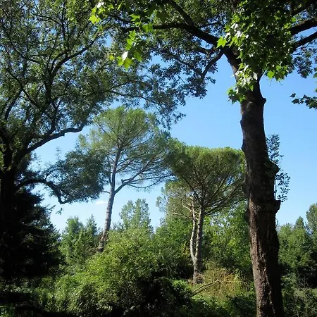 Le Moulin Des Sens * Brassac (Tarn-et-Garonne)